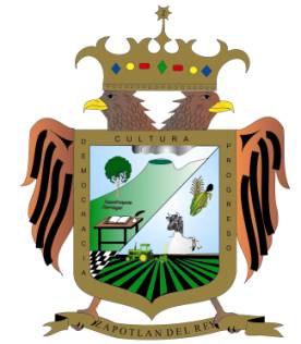 Escudo de armas del municipio